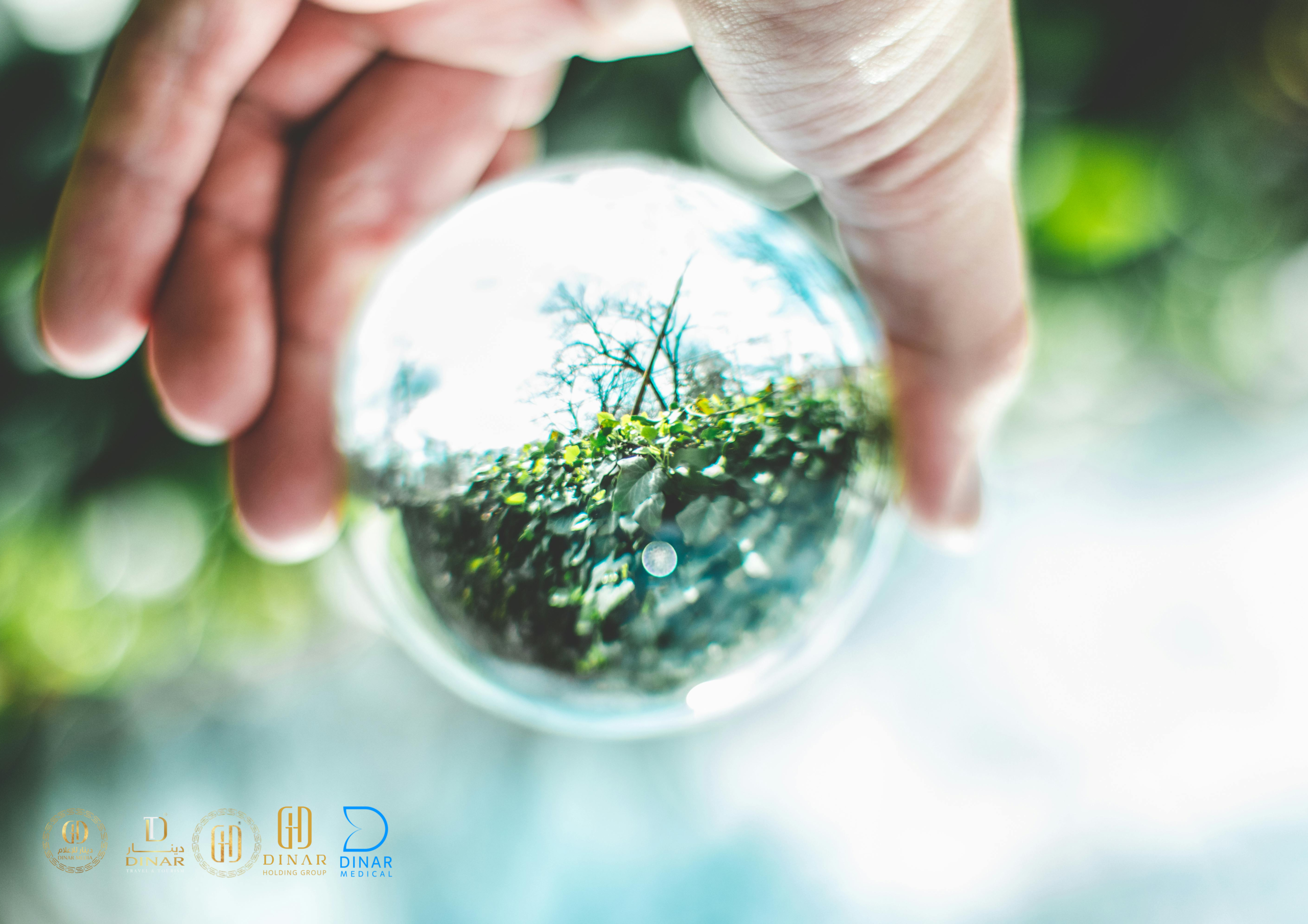 green creative minimalist blank a4 document horizontal