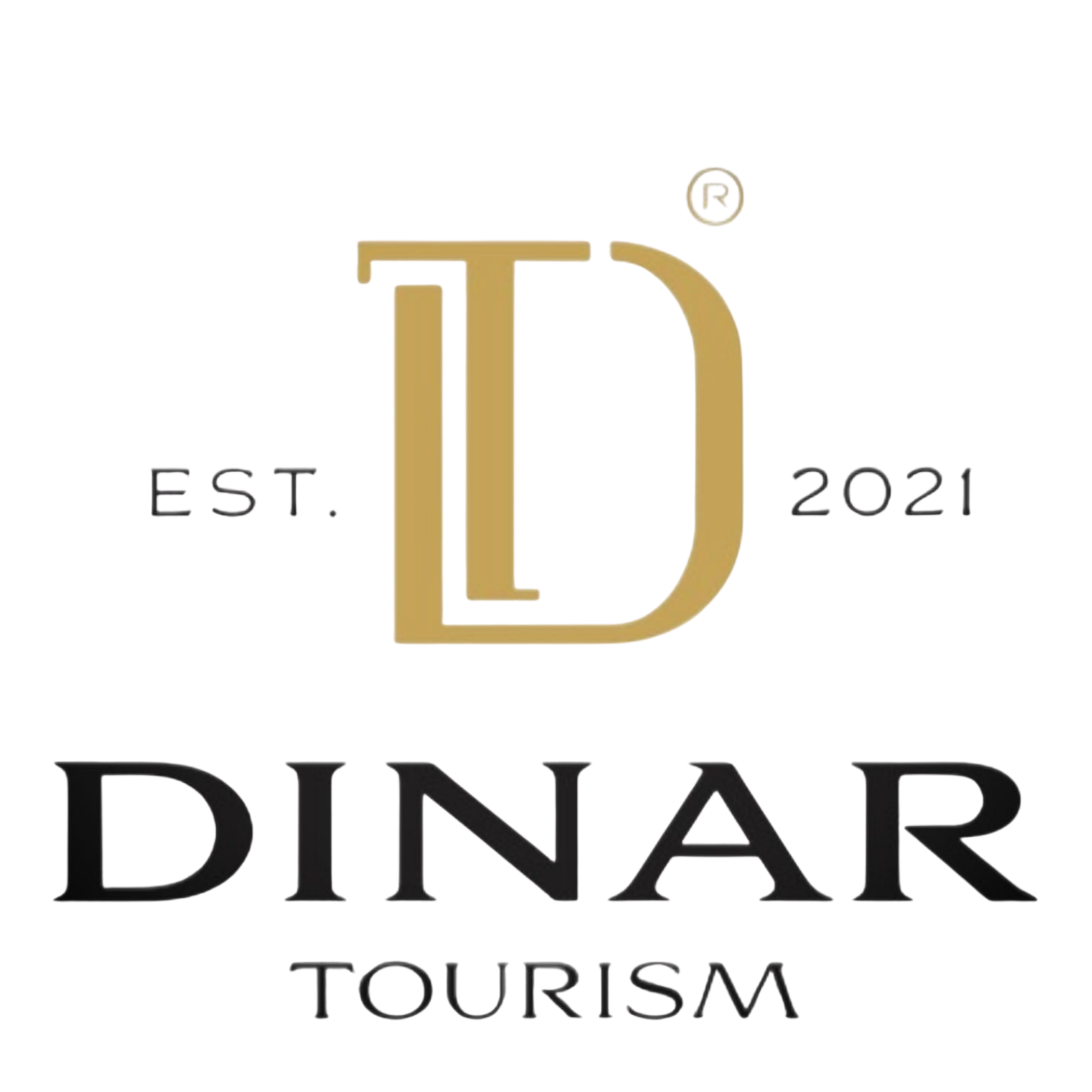 Dinar VIP blue modern artificial intelligence logo (4)