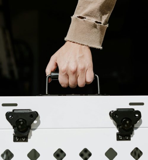 pexels impact dog crates 1789722873 28333017