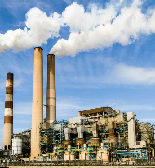 pexels pixabay 247763